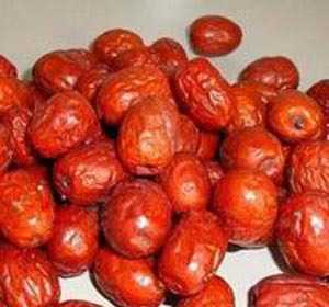 樂陵金絲小棗 齊魯大地的甜蜜饋贈