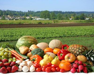 新征程 新發展 農產品電子商務異軍突起，助力縣域經濟煥發新生機